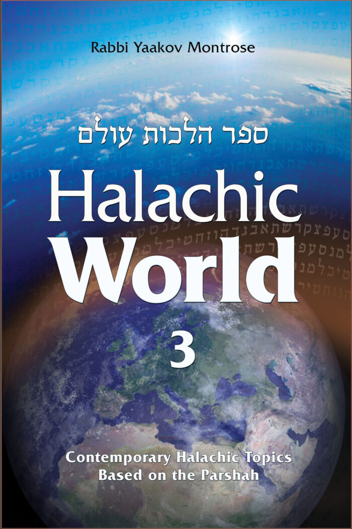 Halachic World - Volume 3